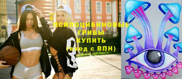 spice Кукмор