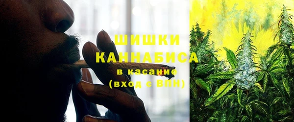 spice Кукмор