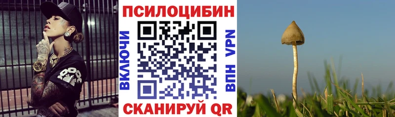 OMG зеркало  Мелеуз  darknet какой сайт  Галлюциногенные грибы Magic Shrooms 